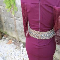 Symphony The Maroon V-neck Bodycon Dress