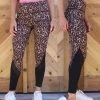 The Lace Cactus Leopard Mesh Panel Active Leggings Apparel