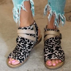 The Lace Cactus 56 (multiple Sizes)