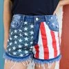 The Lace Cactus Distressed American Flag Shorts New